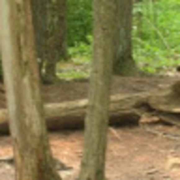 Meet your Posher, E - Picture 1 of 1